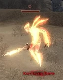 Korrlivingflame