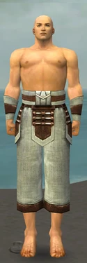 Monk Censor Armor M gray arms legs front