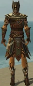 Ritualist Monument Armor M gray front