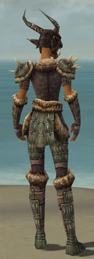 Warrior Charr Hide Armor F gray back