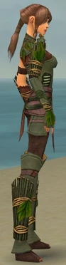 Ranger Druid Armor F gray side alternate