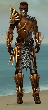 Ranger Elite Sunspear Armor M dyed front