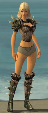 Warrior Elite Charr Hide Armor F gray chest feet front