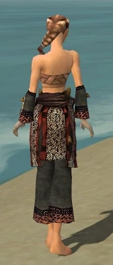 Monk Primeval Armor F gray arms legs back