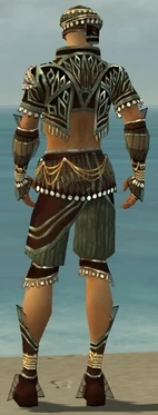 Ritualist Vabbian Armor M gray back