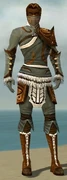 Ranger Canthan Armor M gray front