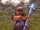 Shepherd of Verata