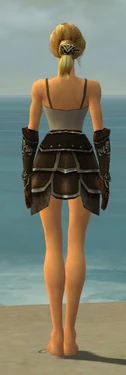 Warrior Shing Jea Armor F gray arms legs back