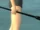 Wilderm's Wand
