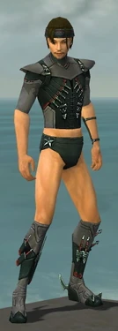 Assassin Seitung Armor M gray chest feet front