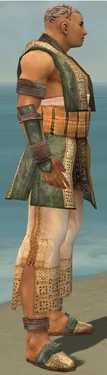 Monk Vabbian Armor M gray side
