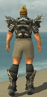 Warrior Silver Eagle Armor M gray chest feet back