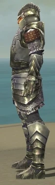 Warrior Templar Armor M gray side alternate