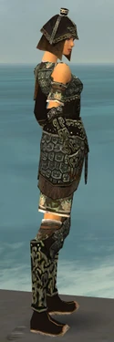 Warrior Canthan Armor F gray side