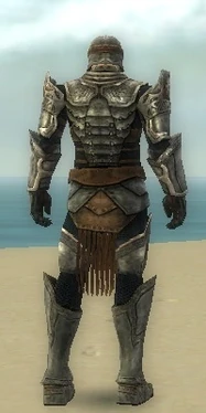 Warrior Sunspear Armor M gray back