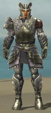 Warrior Templar Armor M gray front
