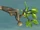 Guardian Branch