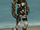 Assassin Elite Kurzick Armor M dyed front.jpg