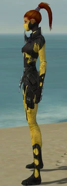 Assassin Kurzick Armor F dyed side