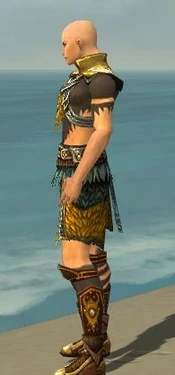 Ritualist Deldrimor Armor M dyed side