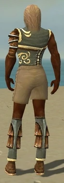 Ranger Shing Jea Armor M gray chest feet back
