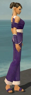 Monk Ascalon Armor F dyed side