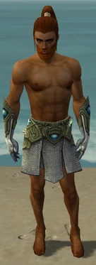 Paragon Monument Armor M gray arms legs front