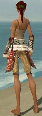 Ranger Canthan Armor F gray arms legs back