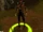Courier Falken
