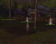 Some of the choices of costumes in Lion's Arch were odd