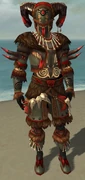 Ritualist Norn Armor M gray front