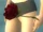 Rose Focus