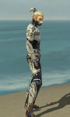 Assassin Asuran Armor M dyed side