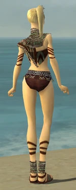 Ritualist Exotic Armor F gray chest feet back