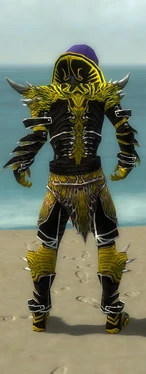 Necromancer Elite Luxon Armor M dyed back