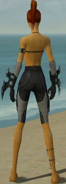 Assassin Kurzick Armor F gray arms legs back