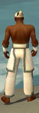 Monk Sacred Armor M gray arms legs back