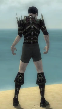 Necromancer Elite Cabal Armor M gray chest feet back