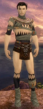 Ritualist Ancient Armor M gray chest feet front