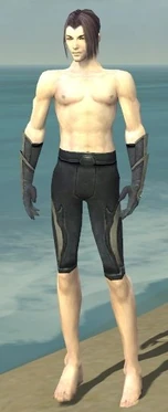 Elementalist Ascalon Armor M gray arms legs front