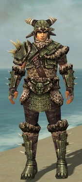 Warrior Elite Charr Hide Armor M gray front