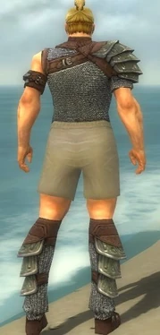 Warrior Krytan Armor M gray chest feet back