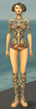 Monk Dragon Armor F gray chest feet front