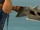 Vertebreaker
