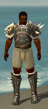 Warrior Norn Armor M gray chest feet front