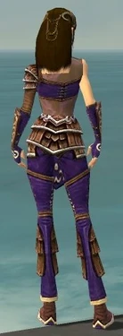 Ranger Shing Jea Armor F dyed back