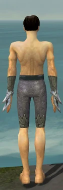 Elementalist Iceforged Armor M gray arms legs back
