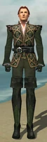Mesmer Courtly Armor M gray front