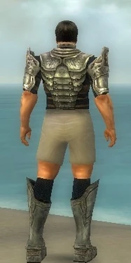 Warrior Sunspear Armor M gray chest feet back