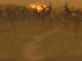 Burning Forest
